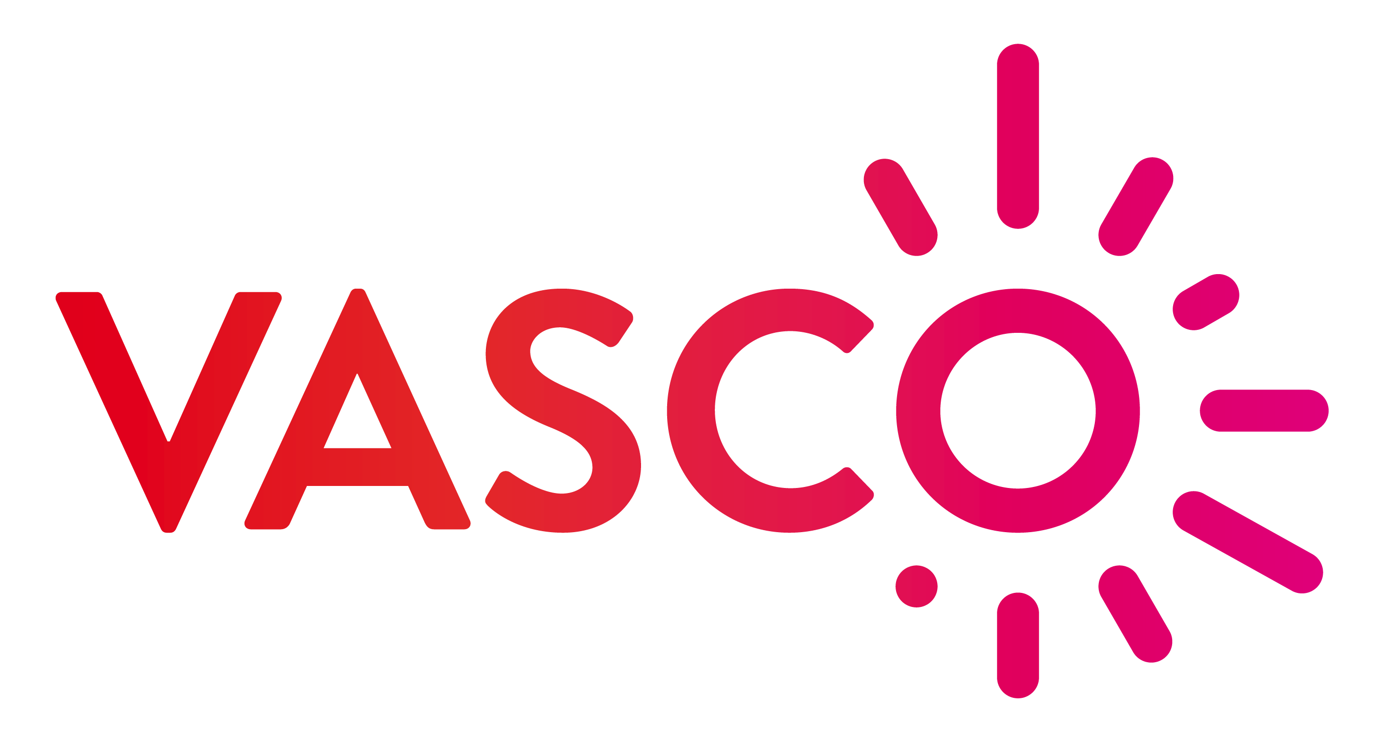 Vasco Connect